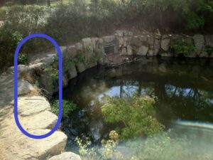 ザリガニが釣れる池でザリガニを釣りやすい場所