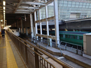つばめが新幹線のホームに停車している写真