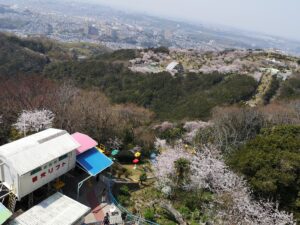 須磨浦山頂遊園からみた景色の写真