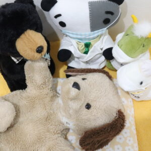 身体検査と触診をしてもらっているわんちゃんの写真