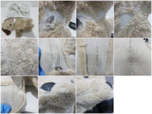 わんちゃんの綿を出して怪我の部分を検査している写真