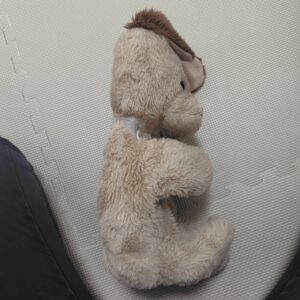 ぺちゃんこなわんちゃんの写真