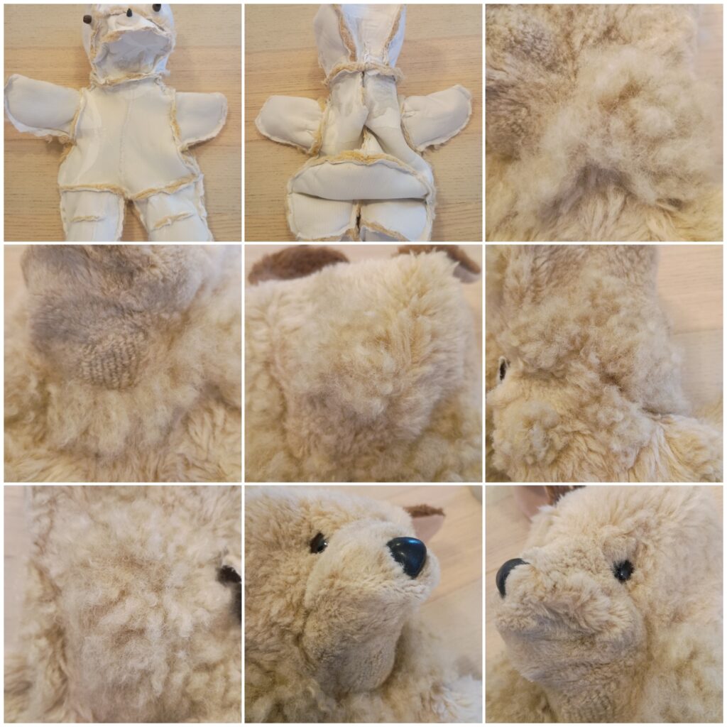 わんちゃんの植毛治療などの様子の写真
