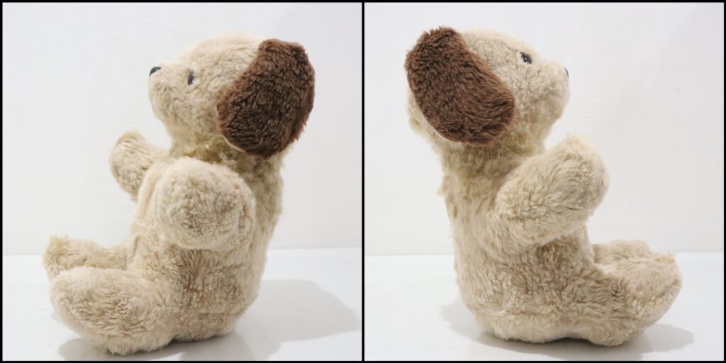 ふっくらしたわんちゃんを横から見た様子の写真