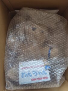 箱を開けるとわんちゃんが袋に包まれていた写真