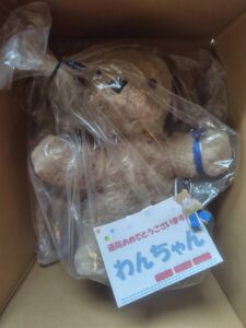 わんちゃんが袋に入っている写真