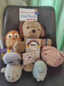 退院後に自宅に戻ってきたわんちゃんの写真