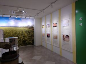 月化粧についての展示の写真