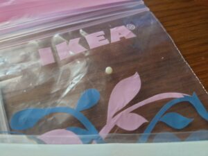 乾燥したアジの水晶体の写真