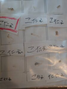 ちりめんモンスターを集めて紙に貼りつけている写真