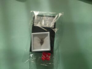 隕石がケースに入っている写真