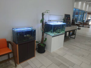 水槽が置いてある写真