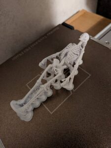 人体模型を造形し終わった写真